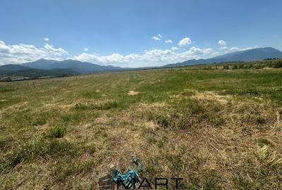 Teren Construcții intravilan de 7500 mp, în Râșnov - 5