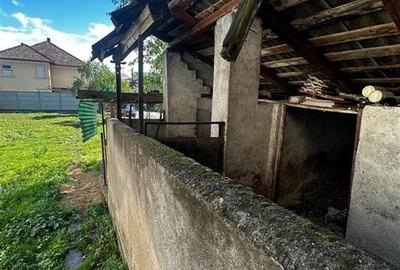 Reco Casa cu gradina Beius - 16