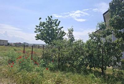 Teren de 5000 mp, în Lazu - 7