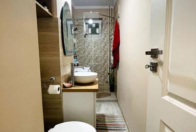 Apartament cu 2 camere, mobilat în Seleuș - 8