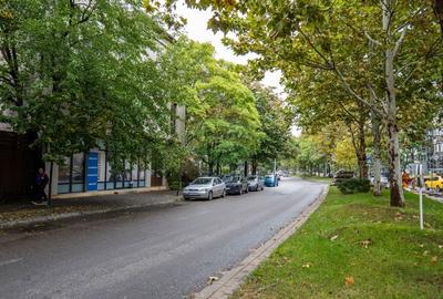 INVESTITIE - Vanzare vila finalizata S+P+2E+M, zona Doamna Ghica - 3