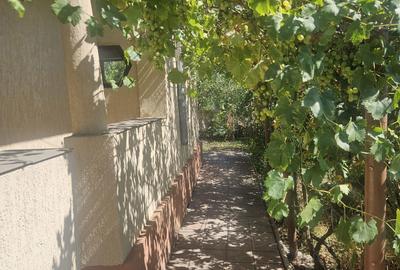 Casă cu 4 camere în Cireșanu - 2