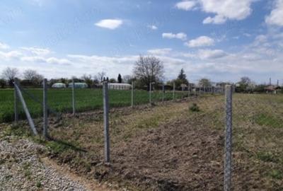 Moara Vlasiei, judet Ilfov - 2