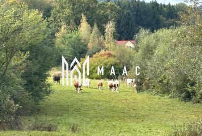 Teren intravilan | UTILITATI | 4717MP | TOCILE - 2