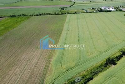Teren agricol extravilan de 9990 mp, în Săcălaz - 4