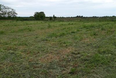 Teren de 650 mp, în Odoreu - 3