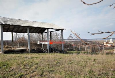 MICRO-FERMA CASA IN VOIVOZI - BIHOR - 12