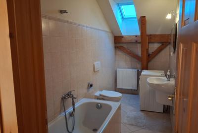 Casă individuală cu 10 camere cu Canalizare în Titulescu - 12