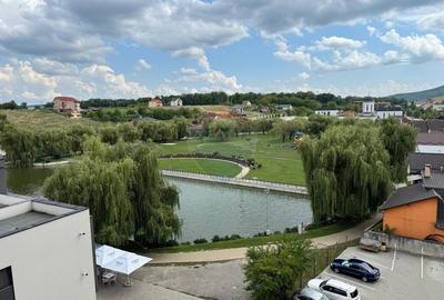 Apartament cu 4 camere de vanzare,Strada Crangului Nr. 11, zona Balta - 12