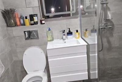 Inchiriere Apartament 3 Camere Decomandat Berceni-Cricovul Sarat - 5