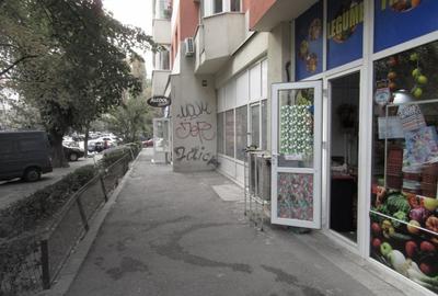 Inchiriere spatiu comercial Teiul Doamnei - 13