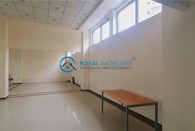 Royal Imobiliare - inchirieri spatii birouri, zona Vest - 2