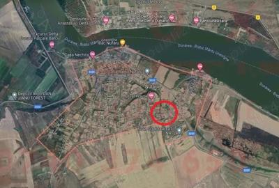 ID 7865 Teren intravilan Comuna NUFARU - 2