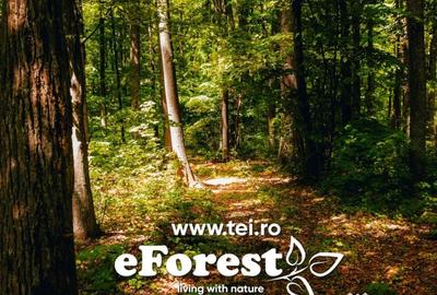 Teren de 800 mp, în Crevedia