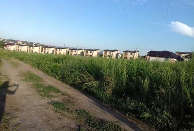 Teren de 700 mp, în Miroslava