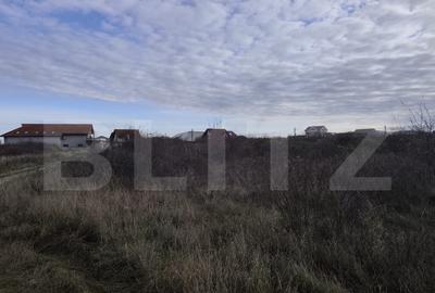 Teren de 10925 mp, în Sânmartin - 3