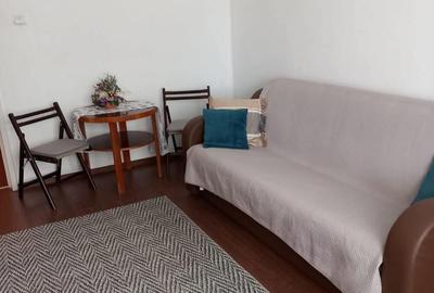 Apartament cu o camera Dambovita - 3