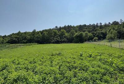 Spațiu comercial, în Iclozel - 4