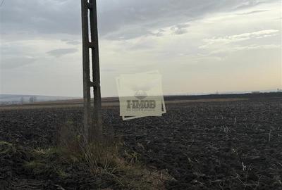 Teren agricol extravilan de 20300 mp, în Șura Mică - 3