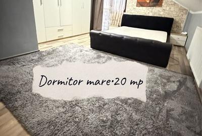 Casă cu 4 camere cu Teren 587 Mp în Sânmihaiu Român - 6