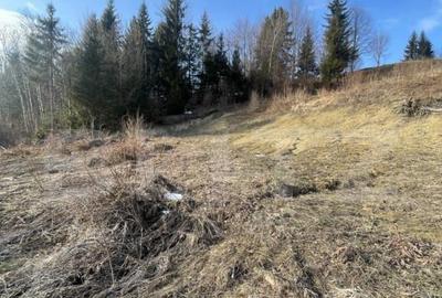 Teren intravilan de vanzare, 15 ari, zona COLIBITA - 6