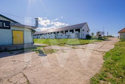 Proprietate industriala cu hale moderne, teren generos si acces Autostrada A1 Proprietate industriala cu hale moderne, teren generos si acces Autostrada A1 - 16