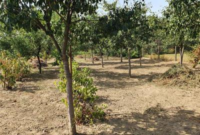 Casă cu 3 camere în Lugoj - 5