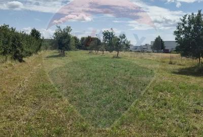 Teren de vanzare in Tautii-Magheraus / Strada 66 Teren de vanzare in Tautii-Magheraus / Strada 66 - 2