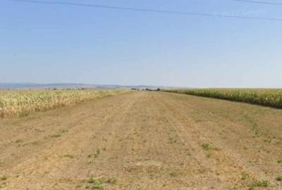 Teren Construcții intravilan de 16620 mp, în Ozun - 3