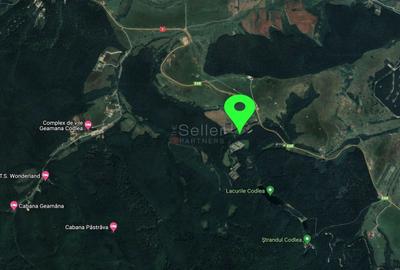 Teren Intravilan - Amplasare Unica - 30