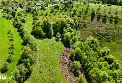 Spațiu comercial, în Copalnic - 7