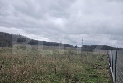 Teren intravilan, Dragutesti, 1184 mp - 1