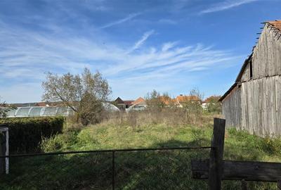 Case de vanzare in Mandra - 36