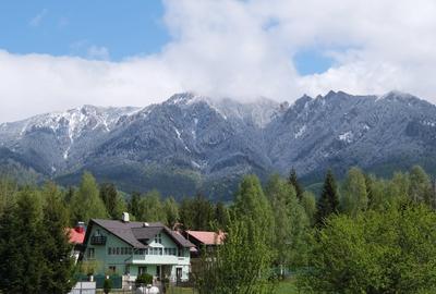 Vanzare vila mare si noua la munte in Cheia judetul Prahova langa padure - 12