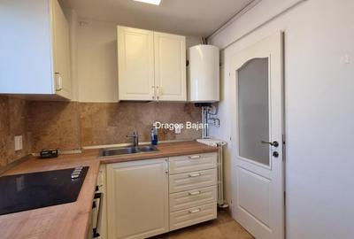 Apartament cu 2 camere, mobilat în Cișmigiu - 9
