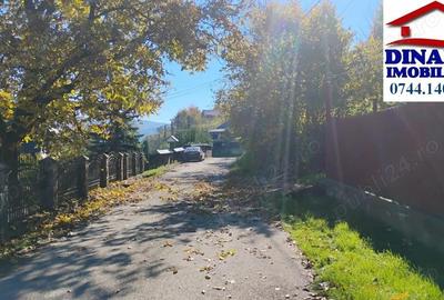 3600 mp teren intravilan, sat Bistrita, 19 Euro mp - 4