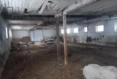 Spațiu comercial, de 700 mp, în Cheia - 5