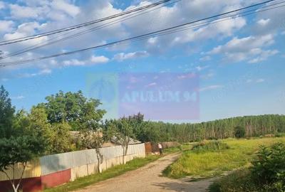 Se vinde teren 2000 mp in Teisori Giurgiu - 3