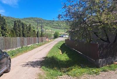 Teren de 2399 mp, în Ceuaș - 6