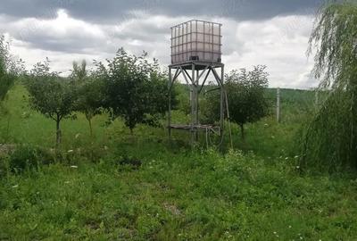 Teren în Sfântu Ilie - 10