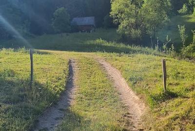 Teren de 9280 mp, în Scărișoara - 2