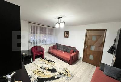 Apartament cu 2 camere semidecomandat, mobilat în Brazda lui Novac - 2