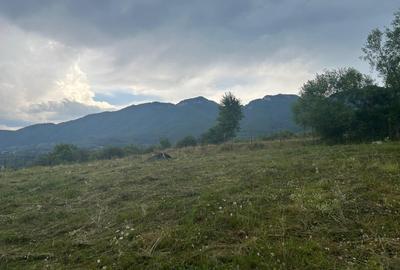 Teren în Central - 1