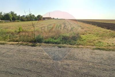 Teren de vanzare la E85-DN2 Buzau Posta Calnau - 5