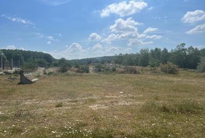 Vând teren intravilan în Portul Cernavodă, 10.000 mp Vând teren intravilan în Portul Cernavodă, 10.000 mp - 7