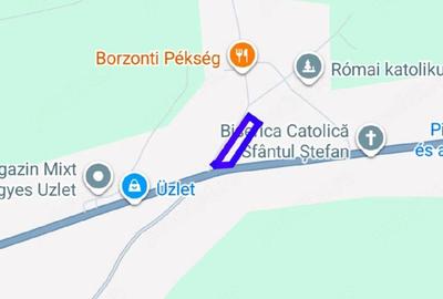 Casă cu 2 camere cu Teren 3549 Mp în Central - 1