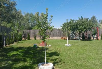 De vanzare casa in sat Pocola la 5 km de ora?ul Beiu? - 1