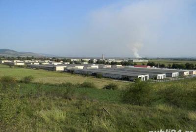 Inchiriez spa?iu expozi?ional-birou amenajat in Bazar Balata-?oimus - 1