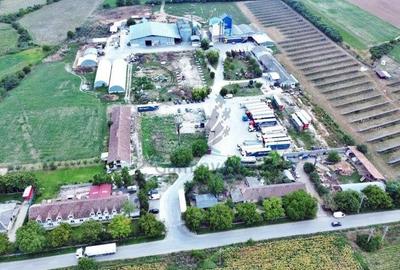 Gaminvest Fabrica de morarit de vanzare in Judetul Bihor, Romania V3234 - 2