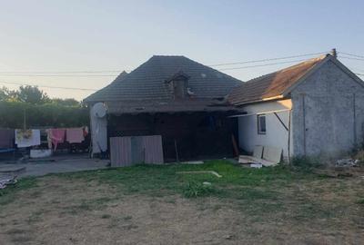 Cogealac - casa cu 3 camere, 1500 mp teren - 3